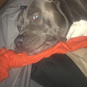 Meet your Posher, Pamela